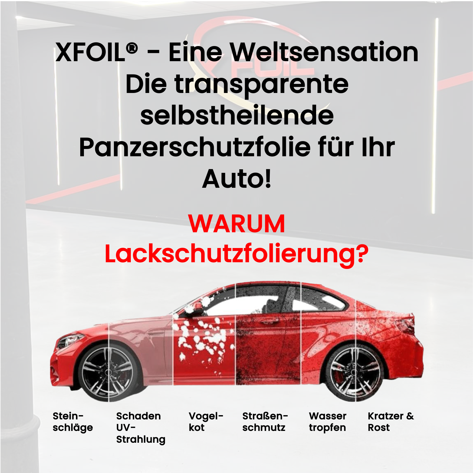 Paint Protection Film Verlegung bei XFoil